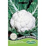 Germisem graines Chou-fleur TOUTES SAISONS Photo, best-seller 2025-2024 nouveau, meilleur prix 5,71 € examen