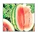 Photo 25 Crimson Sweet Watermelon Seeds | Non-GMO | Fresh Garden Seeds new bestseller 2024-2023