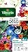 Photo Vilmorin 5860642 Pack de Graines Fleur Grimpante nouveau best-seller 2024-2023