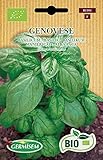 Germisem Bio Graines Basilic GENOVESE Photo, best-seller 2025-2024 nouveau, meilleur prix 7,09 € examen