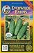 Photo Everwilde Farms - 50 Organic Homemade Pickles Pickling Cucumber Seeds - Gold Vault Packet new bestseller 2025-2024