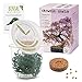 Foto GROW2GO Bonsai Kit incl. eBook GRATUITO - Set con mini invernadero, semillas y tierra - idea de regalo sostenible para los amantes de las plantas (Wisteria) nuevo éxito de ventas 2024-2023