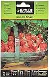 Fresas de Bosque Foto, éxito de ventas 2024-2023 nuevo, mejor precio 1,71 € revisión