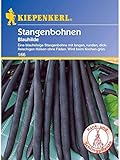 Bohne Blauhilde / Stangenbohnen Foto, Bestseller 2024-2023 neu, bester Preis 3,99 € Rezension