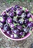 25 Seeds / Purple Eggplant (Baby Eggplants) Photo, bestseller 2024-2023 new, best price $9.25 ($0.37 / Count) review