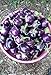 Photo 25 Seeds / Purple Eggplant (Baby Eggplants) new bestseller 2024-2023