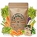 Photo 10 Carrot Seeds Variety Pack for Planting Indoor & Outdoors 3600+ Non-GMO Heirloom Carrots Garden Growing Seeds: Imperator, Parisian, Scarlet Nantes, Purple, Red, White, Cosmic Rainbow Carrots & More new bestseller 2024-2023