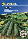 Zucchini Defender F1 Foto, Bestseller 2024-2023 neu, bester Preis 3,96 € Rezension