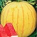 Photo 30Seeds Heirloom jaune peau rouge pastèque sans pépins Graines Service Pack 13% de sucre doux graines juteux bonsaï fruits nouveau best-seller 2024-2023