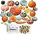 Photo HARLEY SEEDS - Mixed!!! 50+ Pumpkin and Winter Squash Mix Seeds Non-GMO 25 Varieties Delicious Grown in USA. Rare, Super Profilic and Delicious! new bestseller 2024-2023