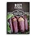 Photo Survival Garden Seeds - Cylindra Beet Seed for Planting - Packet with Instructions to Plant and Grow Dark Red Beets in Your Home Vegetable Garden - Non-GMO Heirloom Variety new bestseller 2024-2023