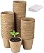 Foto LATERN 100Pcs 8cm Macetas de Semillas de Fibra Biodegradable para Plántulas y Trasplantes con 100pcs Etiquetas de Plantas de Plástico (Blanco 5x1cm) nuevo éxito de ventas 2024-2023