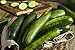 Photo Sweeter Yet Hybrid Cucumber Seeds - Non-GMO - 10 Seeds new bestseller 2024-2023