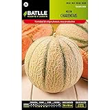 Batlle Gemüsesamen - Honigmelone Charentais (175 Samen) Foto, Bestseller 2024-2023 neu, bester Preis 4,16 € Rezension