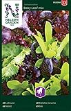Salat Samen Mix Baby Leaf - Nelson Garden Gemüse Saatgut - Pflücksalat Samen (1120 Stück) (Salat, Baby Leaf mix, Einzelpackung) Foto, Bestseller 2024-2023 neu, bester Preis 3,95 € Rezension