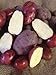 Photo Seed Potato, Red Lasoda, (5 Lbs.), Certified Minnesota Grown Red Lasoda new bestseller 2024-2023