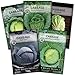 Photo Sow Right Seeds - Cabbage Seed Collection for Planting - Savoy, Red Acre, Golden Acre, Copenhagen Market, and Michihili (Napa) Cabbages, Instructions to Plant and Grow a Non-GMO Heirloom Home Garden new bestseller 2024-2023