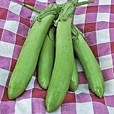 Thai Long Green Eggplant Seeds (25+ Seeds) Photo, bestseller 2024-2023 new, best price $4.69 review