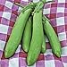 Photo Thai Long Green Eggplant Seeds (25+ Seeds) new bestseller 2024-2023