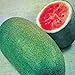 Photo Watermelon, Charleston Grey, Heirloom,100 Seeds, Large new bestseller 2024-2023