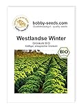 BIO-Kohlsamen Westlandse Winter Grünkohl Portion Foto, Bestseller 2024-2023 neu, bester Preis 1,95 € Rezension