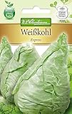 Chrestensen Weißkohl 'Express' Foto, Bestseller 2024-2023 neu, bester Preis 2,04 € Rezension