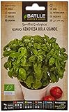 Albahaca Genovesa hoja grande – ECO Foto, éxito de ventas 2025-2024 nuevo, mejor precio 1,76 € revisión