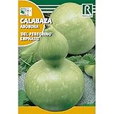 Semilla Calabaza del Peregrino Foto, éxito de ventas 2025-2024 nuevo, mejor precio 1,62 € revisión