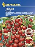 Tomatensamen - Tomate Tropical F1 von Kiepenkerl Foto, Bestseller 2025-2024 neu, bester Preis 5,59 € Rezension