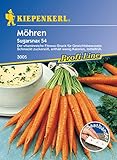 Kiepenkerl, Möhren Sugarnax 54 F1 Saatb Foto, Bestseller 2024-2023 neu, bester Preis 4,99 € Rezension