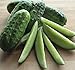 Photo National Pickling Cucumber, 75 Heirloom Seeds Per Packet, Non GMO Seeds, Botanical Name: Cucumis sativus, Isla's Garden Seeds new bestseller 2024-2023