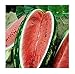 Photo David's Garden Seeds Fruit Watermelon Allsweet 1429 (Red) 50 Non-GMO, Heirloom Seeds new bestseller 2024-2023