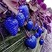 Photo MITRAEE 100pcs Blue Strawberry Fruit Seeds new bestseller 2024-2023