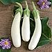 Photo David's Garden Seeds Eggplant Casper 3411 (White) 50 Non-GMO, Open Pollinated Seeds new bestseller 2024-2023