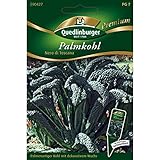 Palmkohl, Nero di Toscana, ca. 150 Samen Foto, Bestseller 2024-2023 neu, bester Preis 2,44 € (0,02 € / stück) Rezension