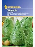 Kiepenkerl Weißkohl Filderkraut Foto, Bestseller 2024-2023 neu, bester Preis 2,19 € Rezension