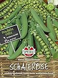 Sperli Schalerbse Kleine Rheinländerin Foto, Bestseller 2025-2024 neu, bester Preis 2,46 € Rezension