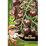 Semillas ecológicas de Tomate Black Cherry Foto, éxito de ventas 2025-2024 nuevo, mejor precio 4,42 € revisión