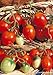 Photo Salerno Seeds Grape Tomato Piennolo Del Vesuvio Pomodoro Heirloom Tomato 3 Grams Made in Italy Italian Non-GMO new bestseller 2024-2023