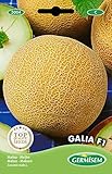 Germisem Melone GALIA F1, mehrfarbig, EC5004 Foto, Bestseller 2024-2023 neu, bester Preis 3,68 € Rezension