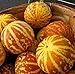 Photo 20 Rare Tigger Melon Seeds | Exotic Garden Fruit Seeds to Plant | Sweet Exotic Melons, Grow and Eat new bestseller 2024-2023