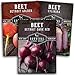 Photo Survival Garden Seeds Beet Collection Seed Vault - Detroit Red, Detroit Golden, Cylindra Beets - Delicious Root & Green Leafy Veggies - Non-GMO Heirloom Survival Garden Vegetable Seeds for Planting new bestseller 2024-2023