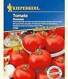 Kiepenkerl Tomaten 'Phantasia' F1,1 Portion Foto, Bestseller 2025-2024 neu, bester Preis 6,42 € Rezension