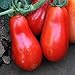 Photo Organic San Marzano Short Vine Tomato ~25 Seeds - Organic, Heirloom, Open Pollinated, Non-GMO, Farm & Vegetable Gardening Seeds new bestseller 2024-2023