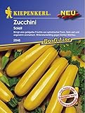 Kiepenkerl Zucchini Soleil goldgelb Foto, Bestseller 2024-2023 neu, bester Preis 2,62 € Rezension