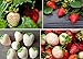 Photo Double The Color Strawberry Duo Packet - 100 Red Straberry Seeds + 100 White Strawberry Seeds to Plant new bestseller 2024-2023