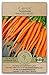 Photo Gaea's Blessing Seeds - Carrot Seeds (1000 Seeds) - Tendersweet - Non-GMO Seeds with Easy to Follow Planting Instructions - Heirloom Net Wt. 1.5g Germination Rate 91% new bestseller 2024-2023