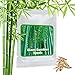 Photo BAMBOU GEANT MOSO env. 60 graines / Phyllostachys pubescens / 