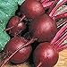 Photo Beets,Ruby Queen, Heirloom, Non GMO, 100 Seeds, Tender and Sweet, DEEP RED new bestseller 2024-2023