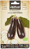 Bio Samen - Aubergine lang (45 Samen - Bio) Foto, Bestseller 2024-2023 neu, bester Preis 4,91 € (27,28 € / 10g) Rezension